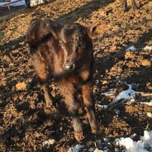 Meet your Posher, Kaytlin